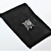 NCO COLLAR TABS SS-UNTERSCHARFUHRER