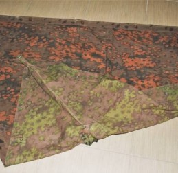  - GERMANIA - GERMANIA