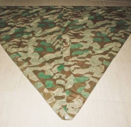  - GERMANIA - GERMANIA