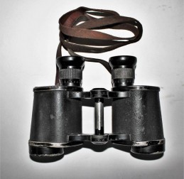  - GERMANIA - GERMANIA