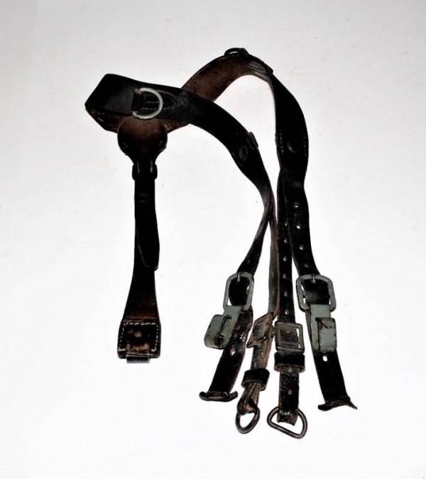 SPALLACCI Y WH-SS-LW