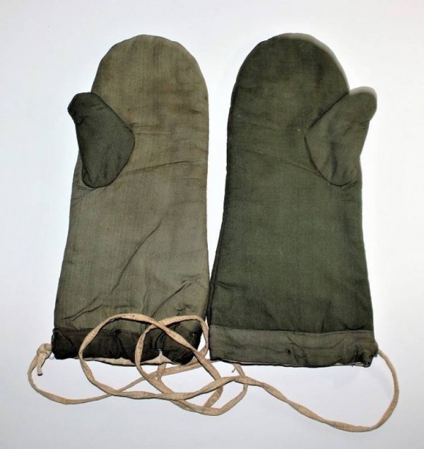 GUANTI INVERNALI INBOTTITI DELLA WH-LW-SS